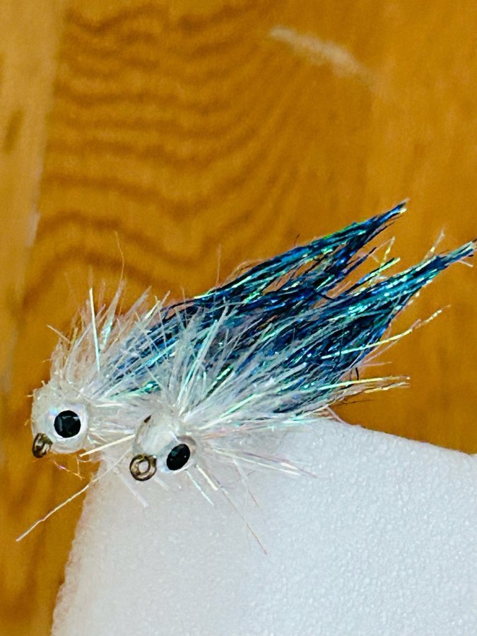 2 st baitfish WB