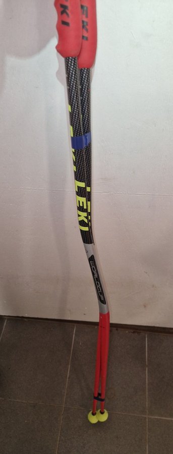 Leki alpina stavar GS 125 cm