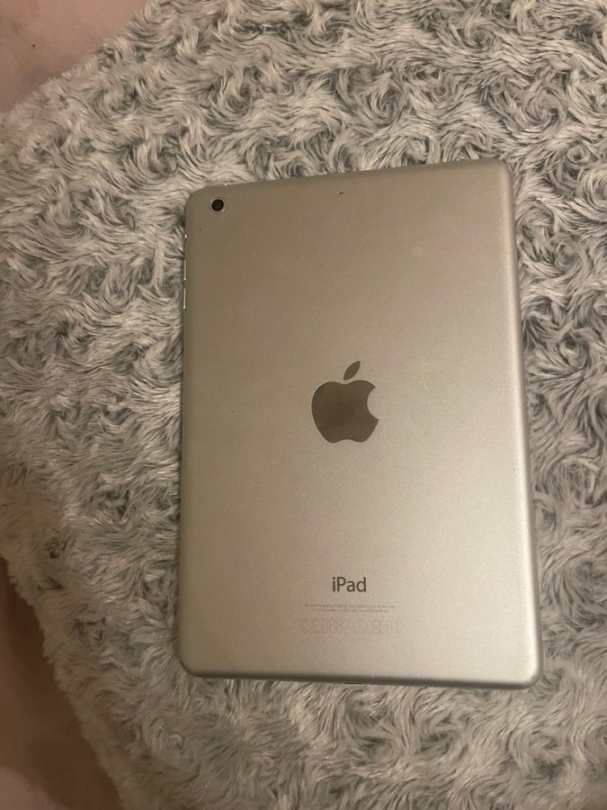 iPad