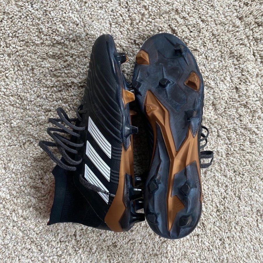 Adidas Predator 18.1 FG Fotbollsskor Svart