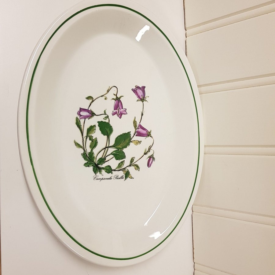 Uppläggningsfat/serveringsfat med Campanula Patula blommor.33x24 cm.