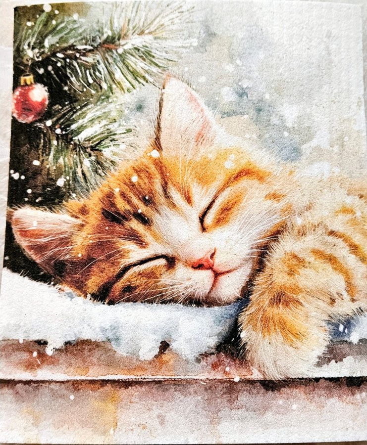 Disktrasa wettex duk med tryck print sovande kattung Jul Christmas