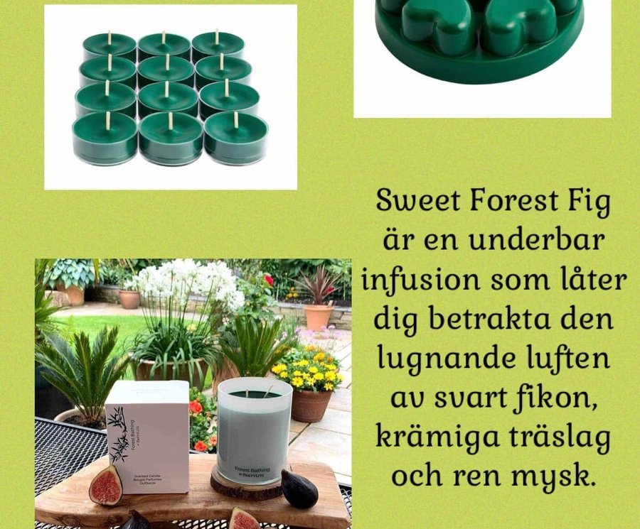 PartyLite Teljus 12 pack - Sweet Forest Fig - Terapi ljus