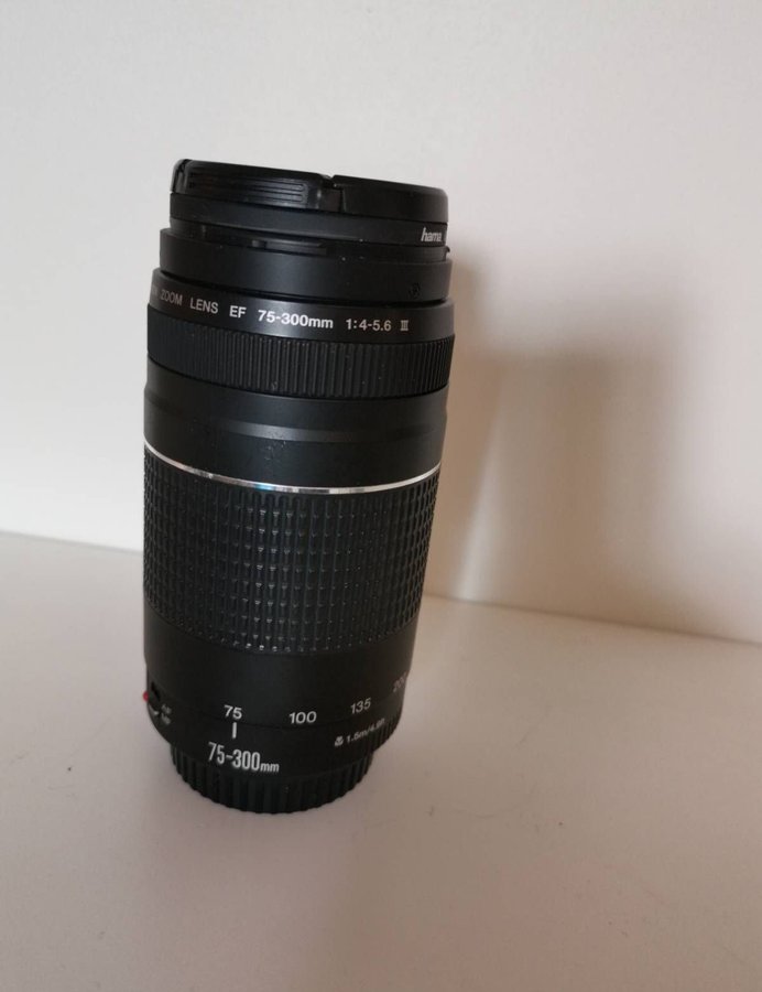 Canon Zoom Lens EF 75-300mm 1:4-5.6 III