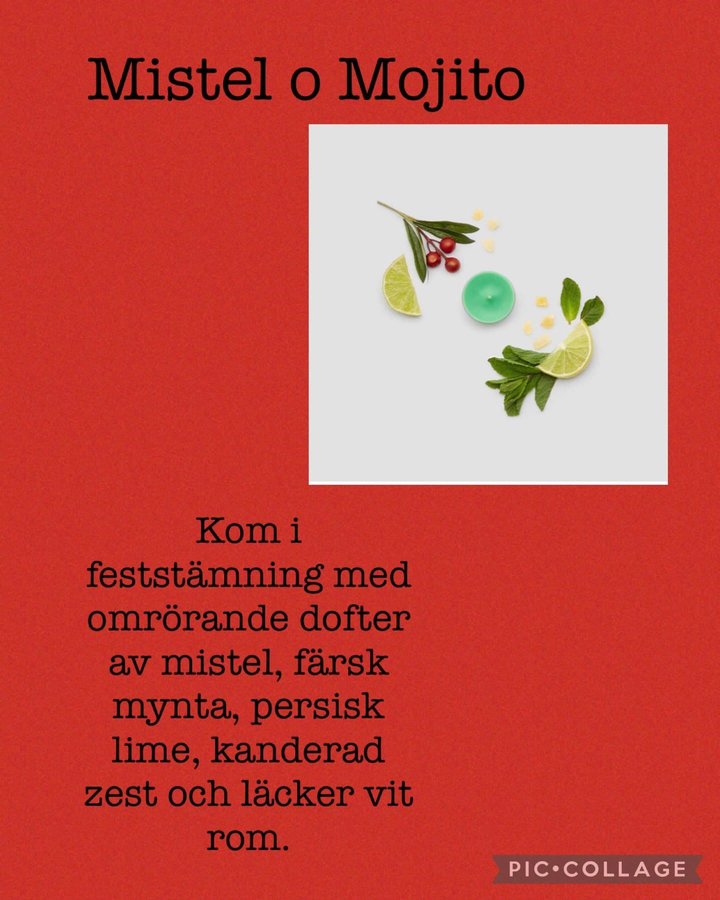 PartyLite Teljus 12 pack - Mistletoe Mojito