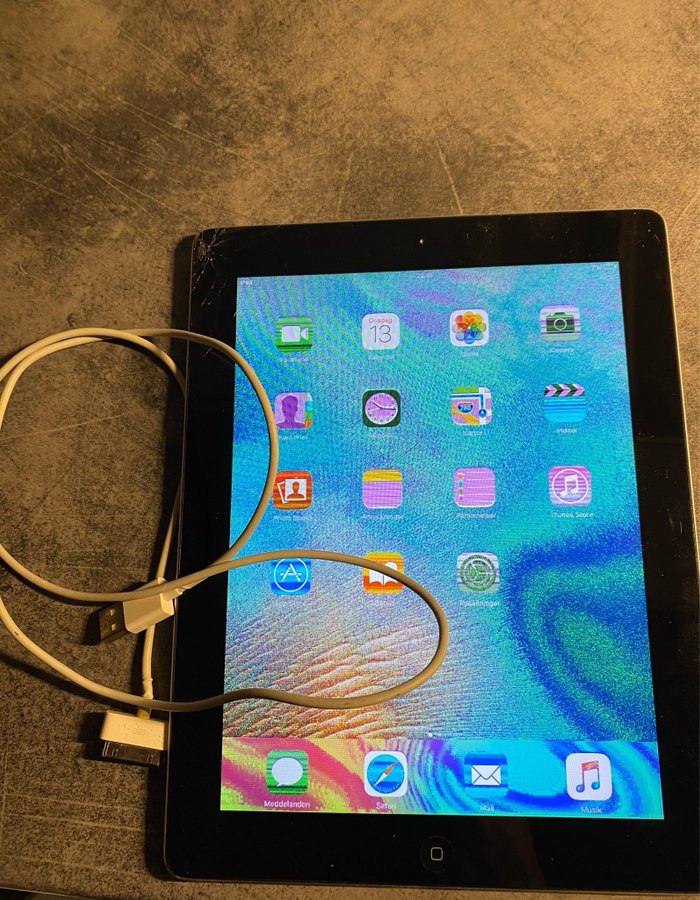 iPad 12,8 GB