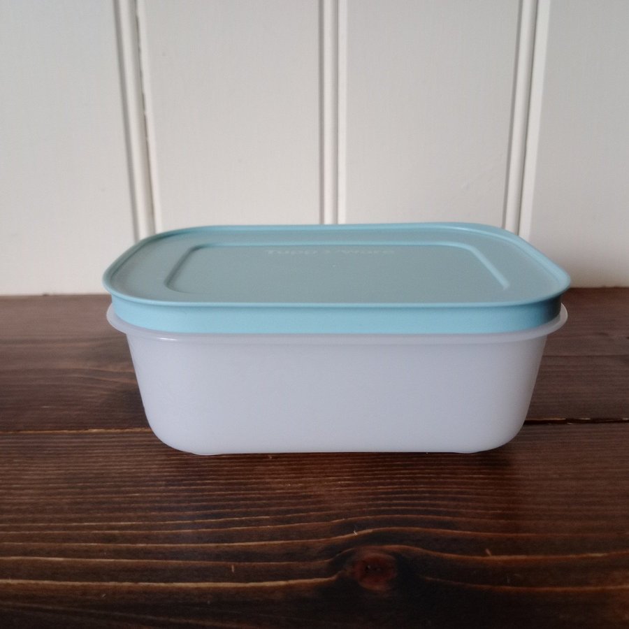 Ny Tupperware 1st Freezer Smart 450ml