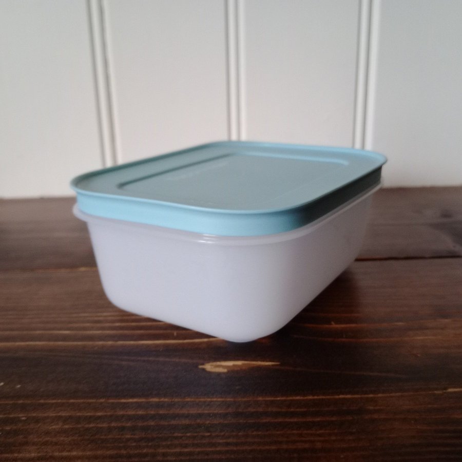 Ny Tupperware 1st Freezer Smart 450ml