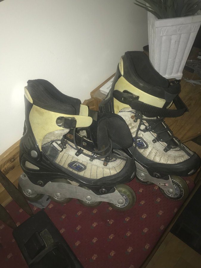 Inlines rollerblades