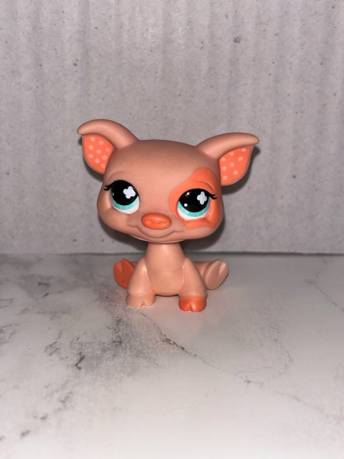 Littlest Pet Shop Gris #622 LPS