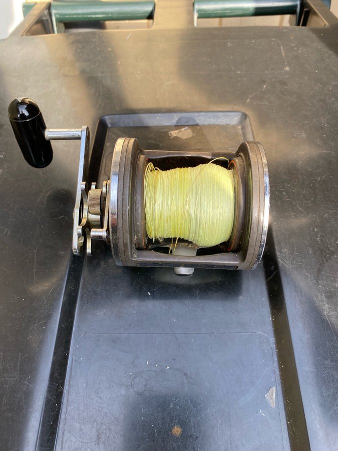 Daiwa sealine 300 H