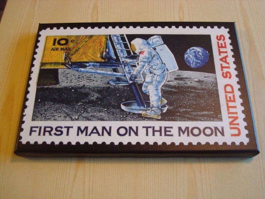 Apollo 11 Limited Edition canvastavla nummer 1/50