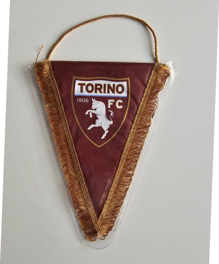 Vimpel Torino FC