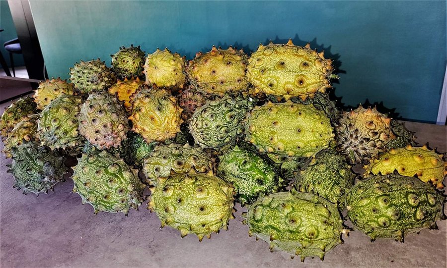 Kiwano ( Cucumis metuliferus ), klängväxt, 6 frön