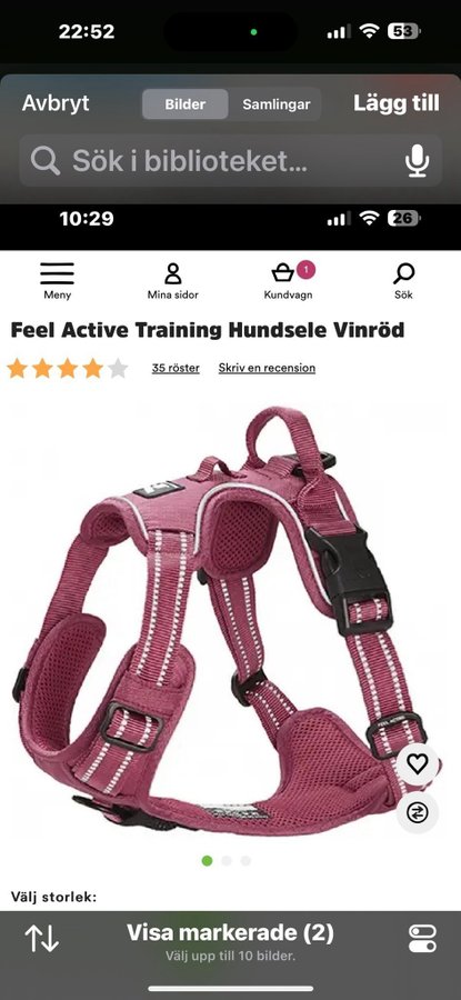 Feel Active Training Hundsele Vinröd stl.S