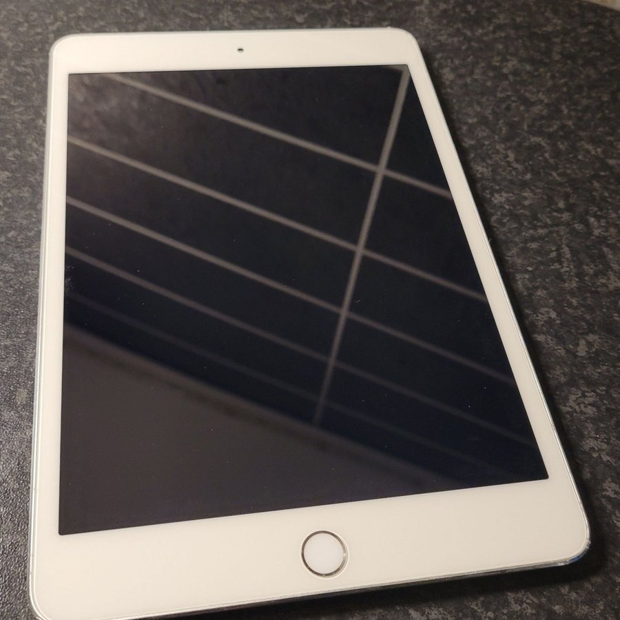 iPad mini 4 i väldigt gott skick