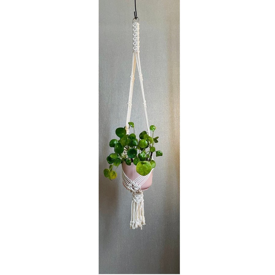 Ampel i makramé /plant hanger/ inredning med växter