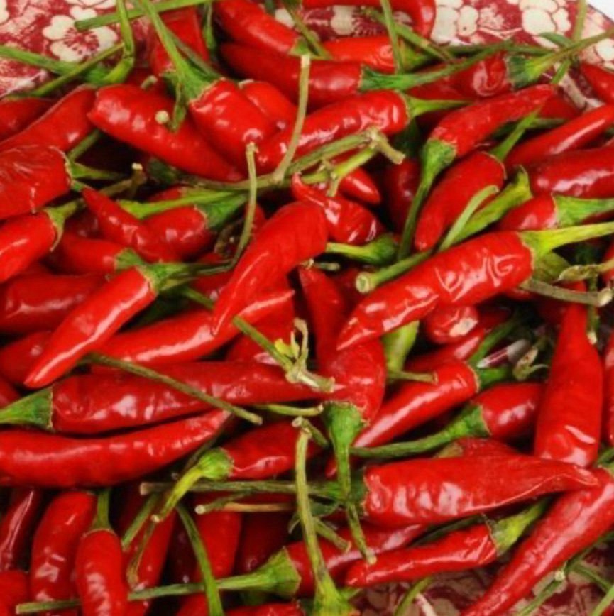 Thai chilli, ca 10 frön