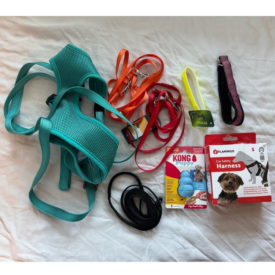 HundSele, halsband, koppel kong leksak, bilsele, Valp/liten hund startpaket