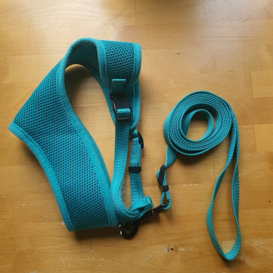 HundSele, halsband, koppel kong leksak, bilsele, Valp/liten hund startpaket