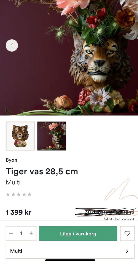 Tiger Vas BYON NY!