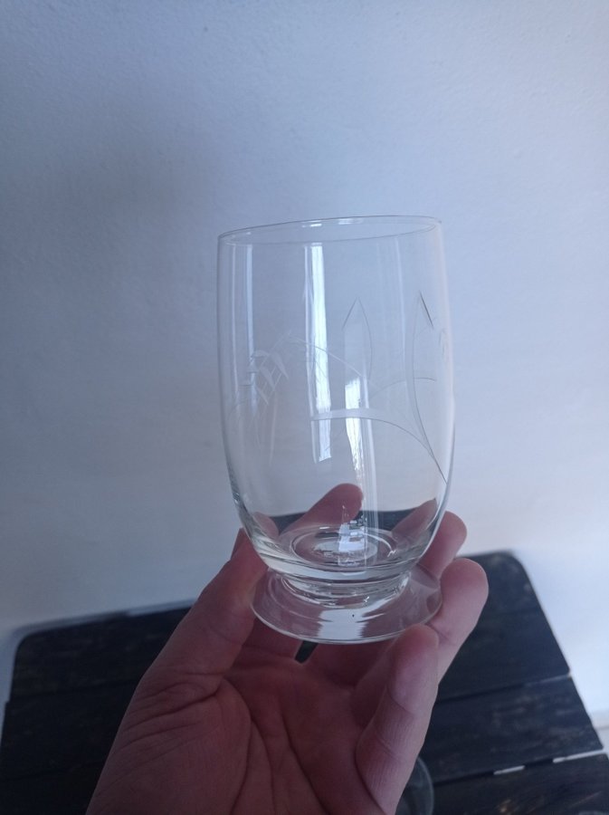 6 stk Holmegaard Bygholm ølglas 12 cm høje.