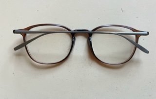 Frank Custom progressiva glasögon titan unisex 49 ¤ 20