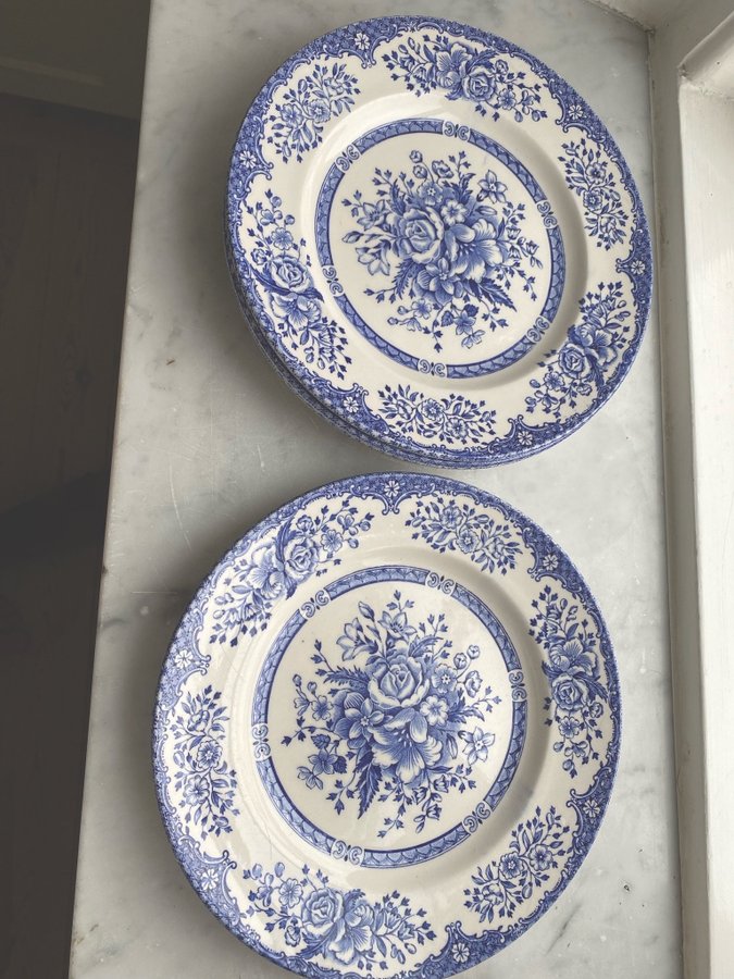 4 st Tallrikar English Ironstone ”Kew gardens”