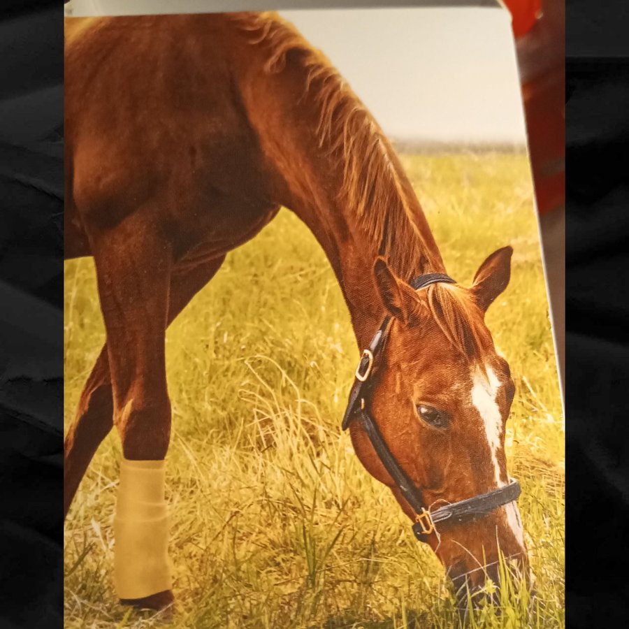 Självhäftande Fome bandage till hästar,hundar och katter.