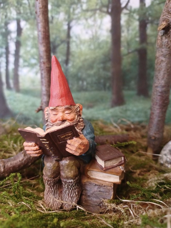 Gnomes, Tomtar, Rien Poortvliet