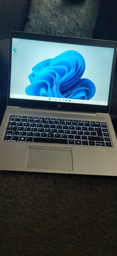 HP Elitebook 745 G5 Ryzen 5 -8 GB Ram/ 256 Gb SSD Windows 11