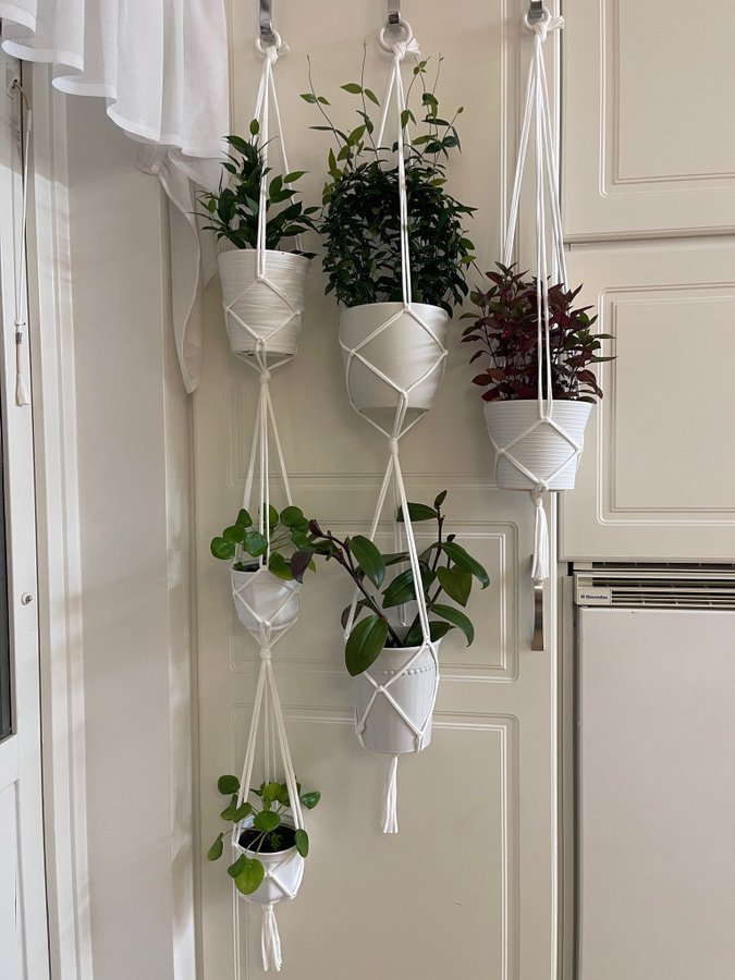 Vita Amplar för blomkrukor, Hangers for plants