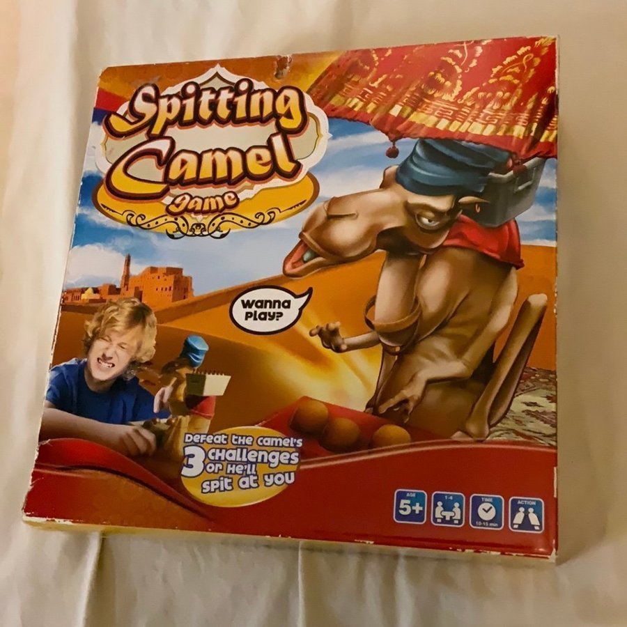 Spitting camel