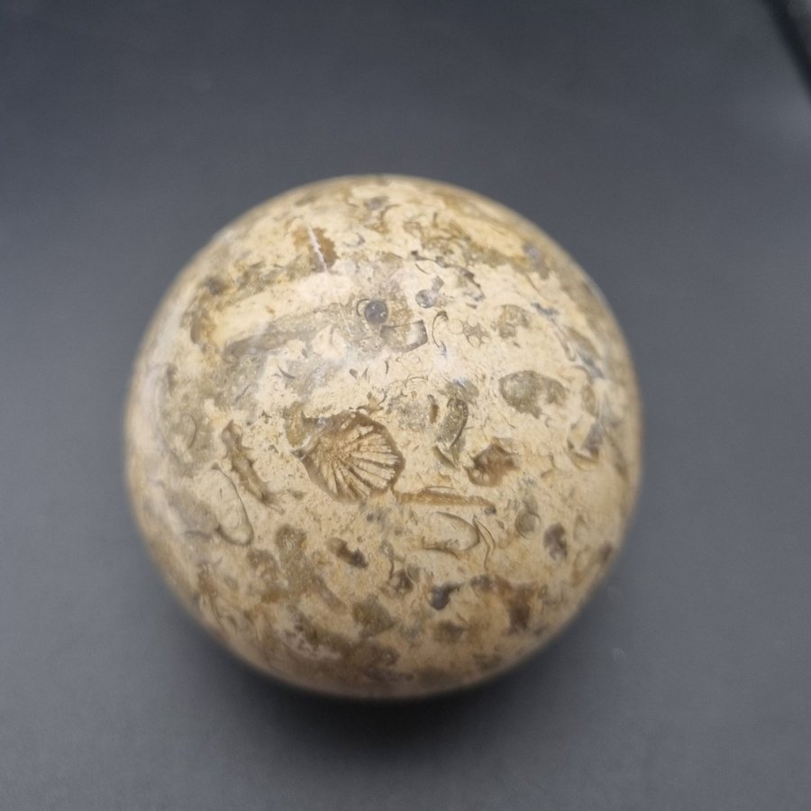 Fossil Jaspis Klot // Fossil Jasper Sphere