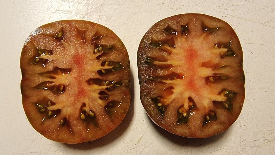 Tomat Frön Arvegods Sort PRIMORA Tomato Seeds Heirloom