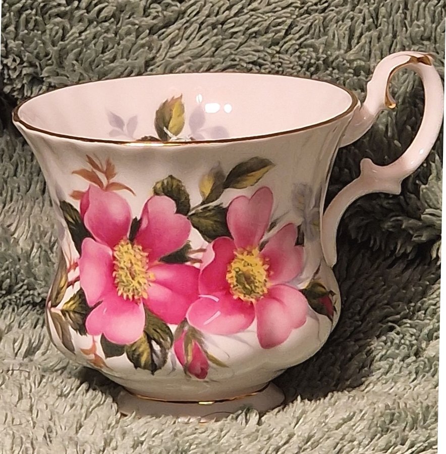 Fin Engelsk kaffekopp keramik Royal Albert Praire Rose