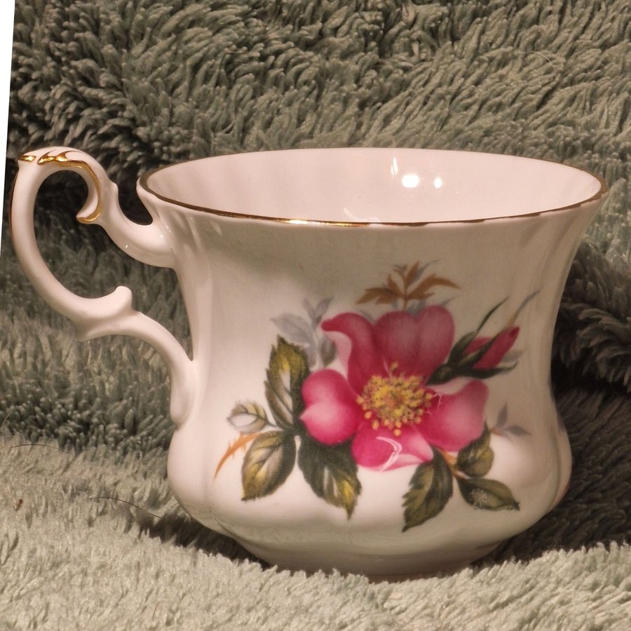 Fin Engelsk kaffekopp keramik Royal Albert Praire Rose