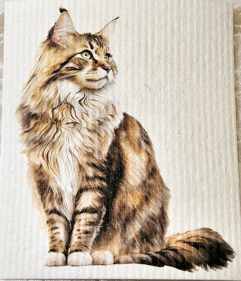 Disktrasa wettex duk med tryck print katt norsk skogskatt / Maine Coon