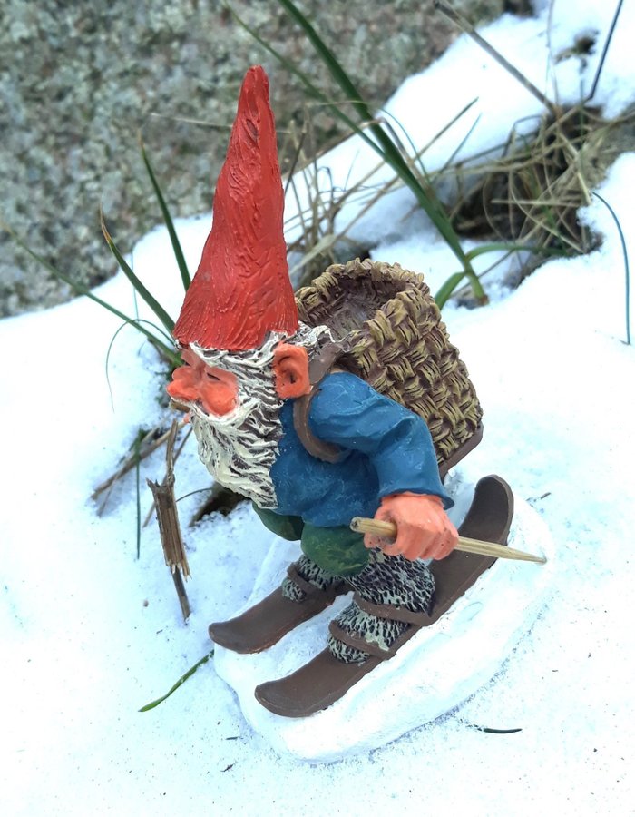 Gnomes, Tomtar, Rien Poortvliet