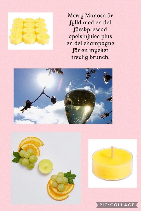 PartyLite Teljus 12 pack - Merry Mimosa