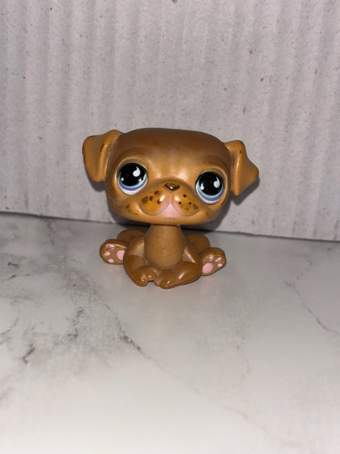 Littlest Pet Shop Pug #901/786 LPS