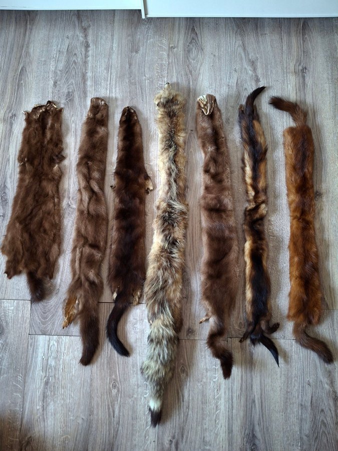 Vintage brun 6st bruna äkta mink stola minkskinn mink päls halsduk coyote stola