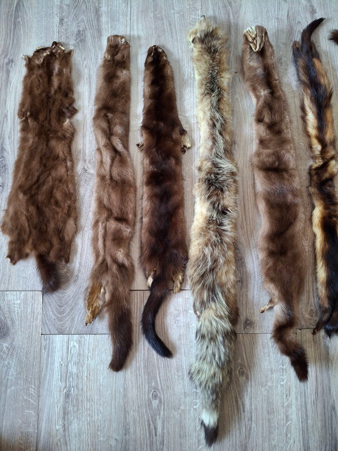 Vintage brun 6st bruna äkta mink stola minkskinn mink päls halsduk coyote stola