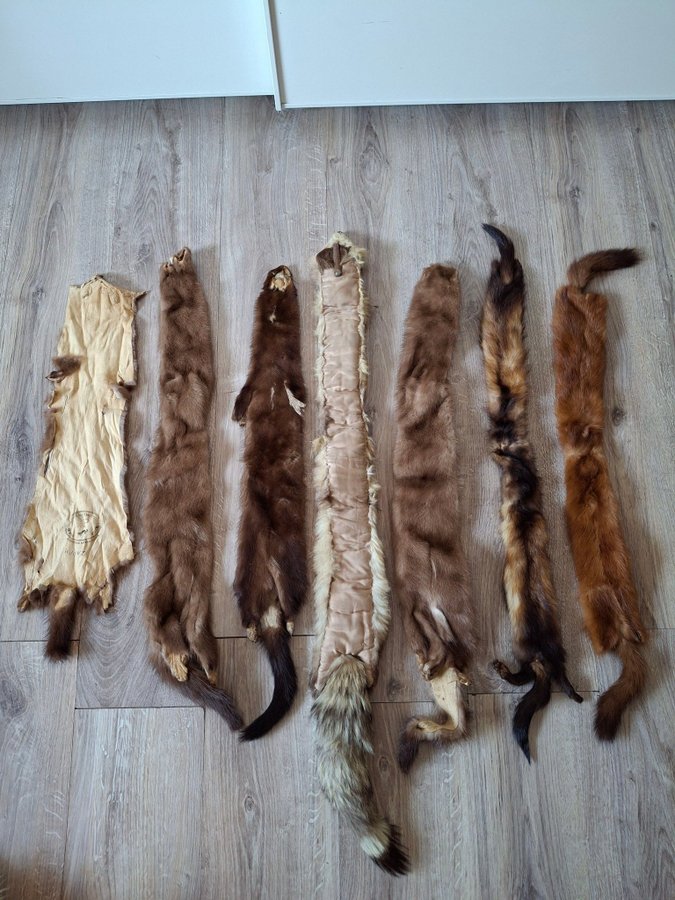 Vintage brun 6st bruna äkta mink stola minkskinn mink päls halsduk coyote stola