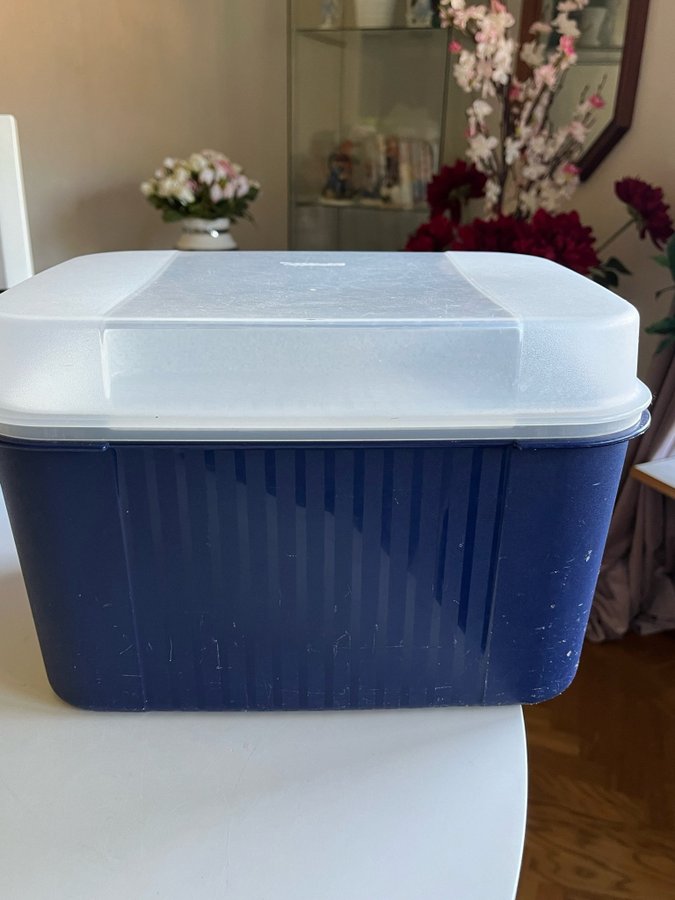 Tupperware stor förvaringslåda