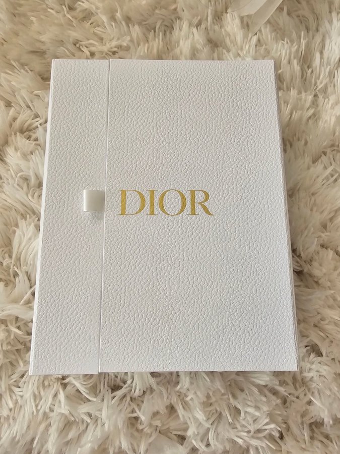 Lady Dior Pouch