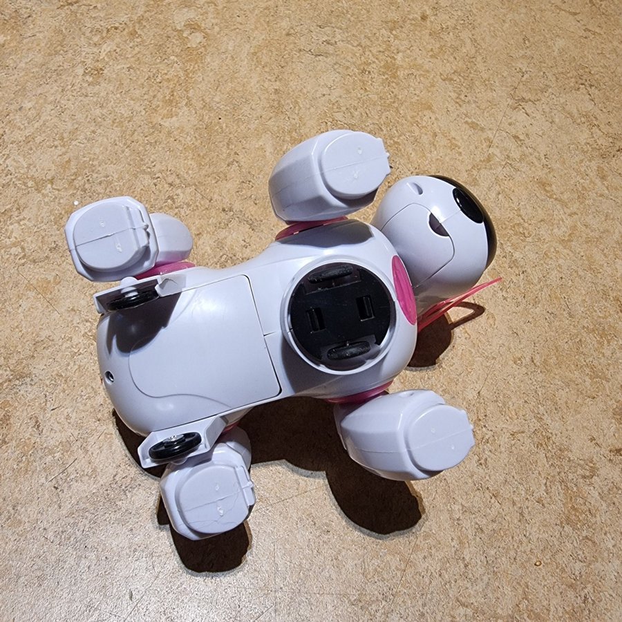 Robot Hund