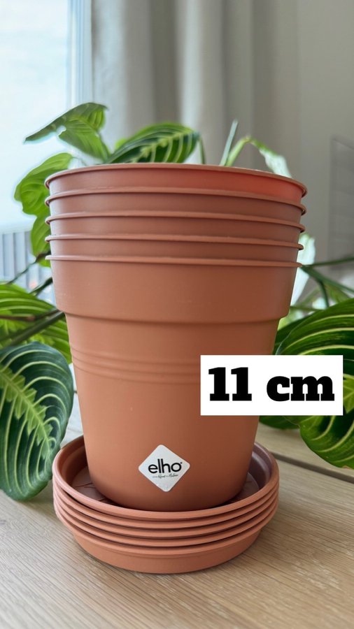 ELHO Basics 5st Planteringskrukor och Fat - Terracotta 11cm