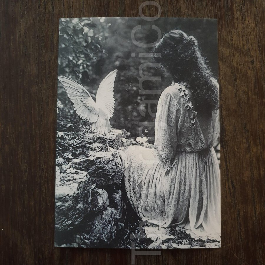 Black and White Small (A6) Printed Card Angel, Dove of Peace (No Frame)