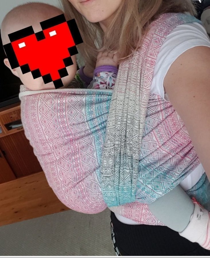 Didymos aurora bärsjal